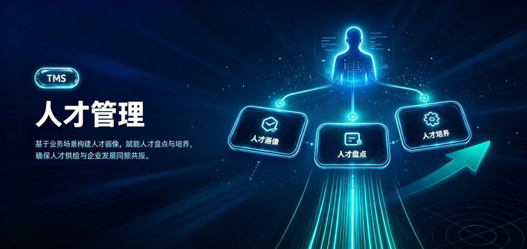人才管理系统（TMS）解决方案